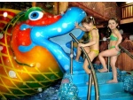 �������� Livu ������� ����� 