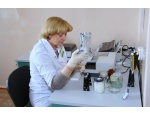 ��������� ����������� ���� ������� 