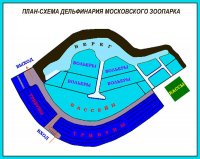 Дельфинарий московского зоопарка Дельфинарий московского зоопарка