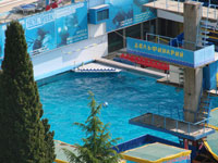 Дельфинарий в Ялте