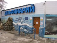Дельфинарий в Севастополе