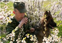 О пограничном контроле и регистрации