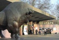 Зоопарк в Киеве