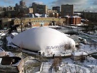 Дельфинарий московского зоопарка