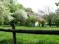 Музей народной архитектуры и быта Пирогово