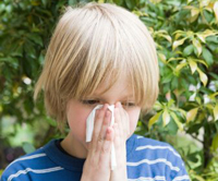 Как помочь маленькому аллергику впору цветения?