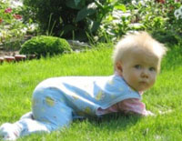 Внимание, клещ!