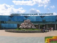 Зоопарк в Новосибирске