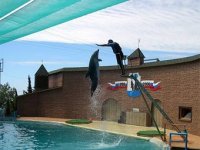 Утришский дельфинарий