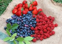 Ягодная феерия