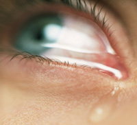 Фабрика слез