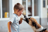 Хочу мороженое!