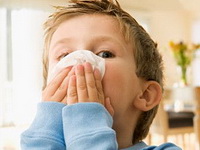 Откуда ринит?