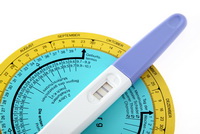 Незаменимые помощники