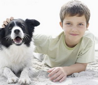 Новый друг: научись любить!