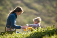 Все о соках