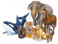 Московский иллюзионный театр зверей и птиц "Артемон"