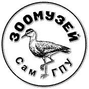 Зоологический музей Самарского Государственного педагогического университета