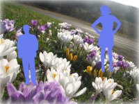 Любимой женщине...