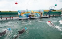 Утришский дельфинарий  в Анапе