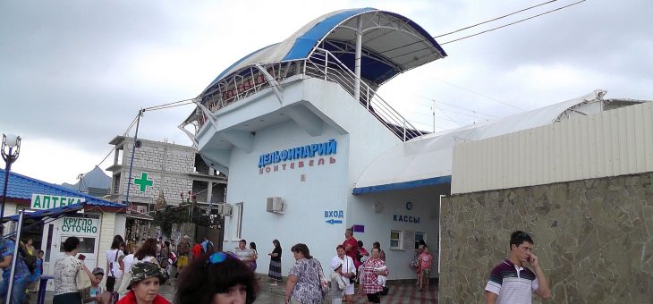 Дельфинарий в Коктебеле