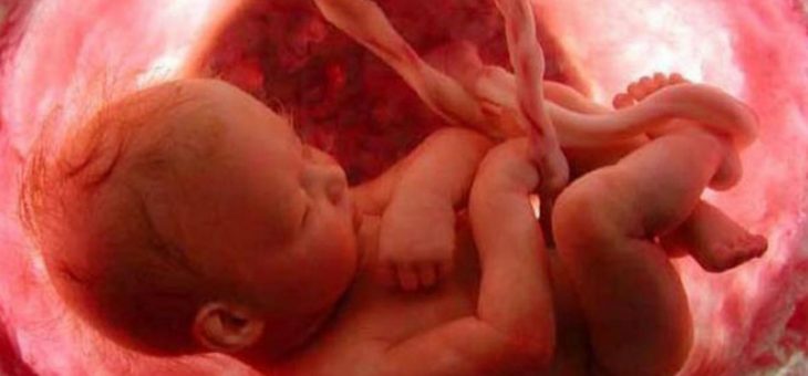 Когда плацента не защищает малыша
