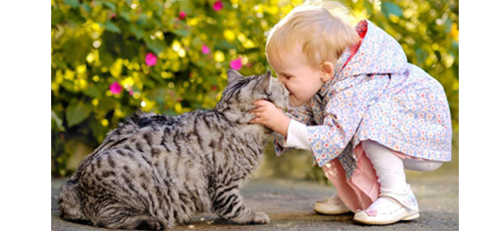 Изучаем животных  с малышом