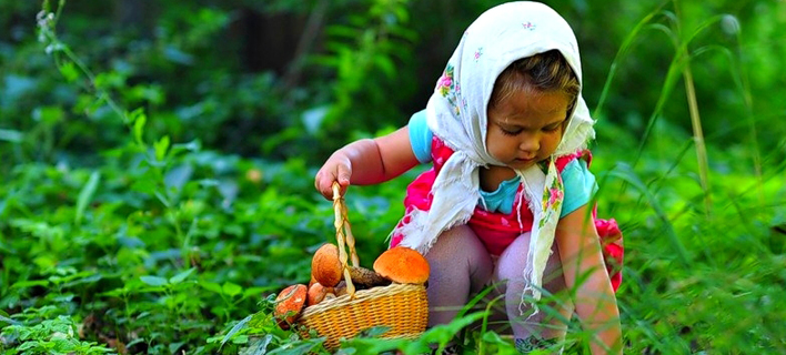 Осторожно — ягоды!